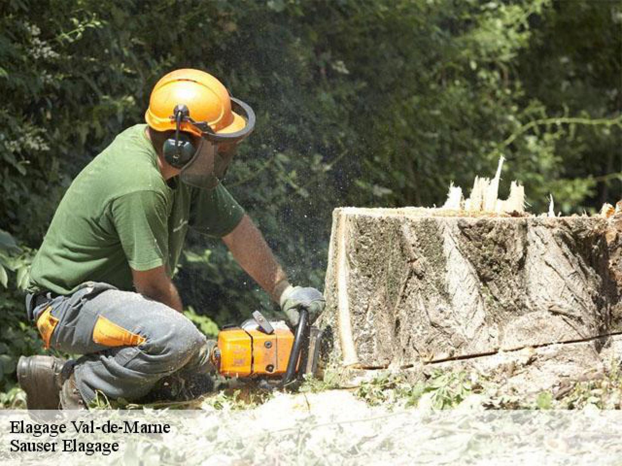 Sauser Elagage votre expert élagueur dans le 94 Val-de-Marne