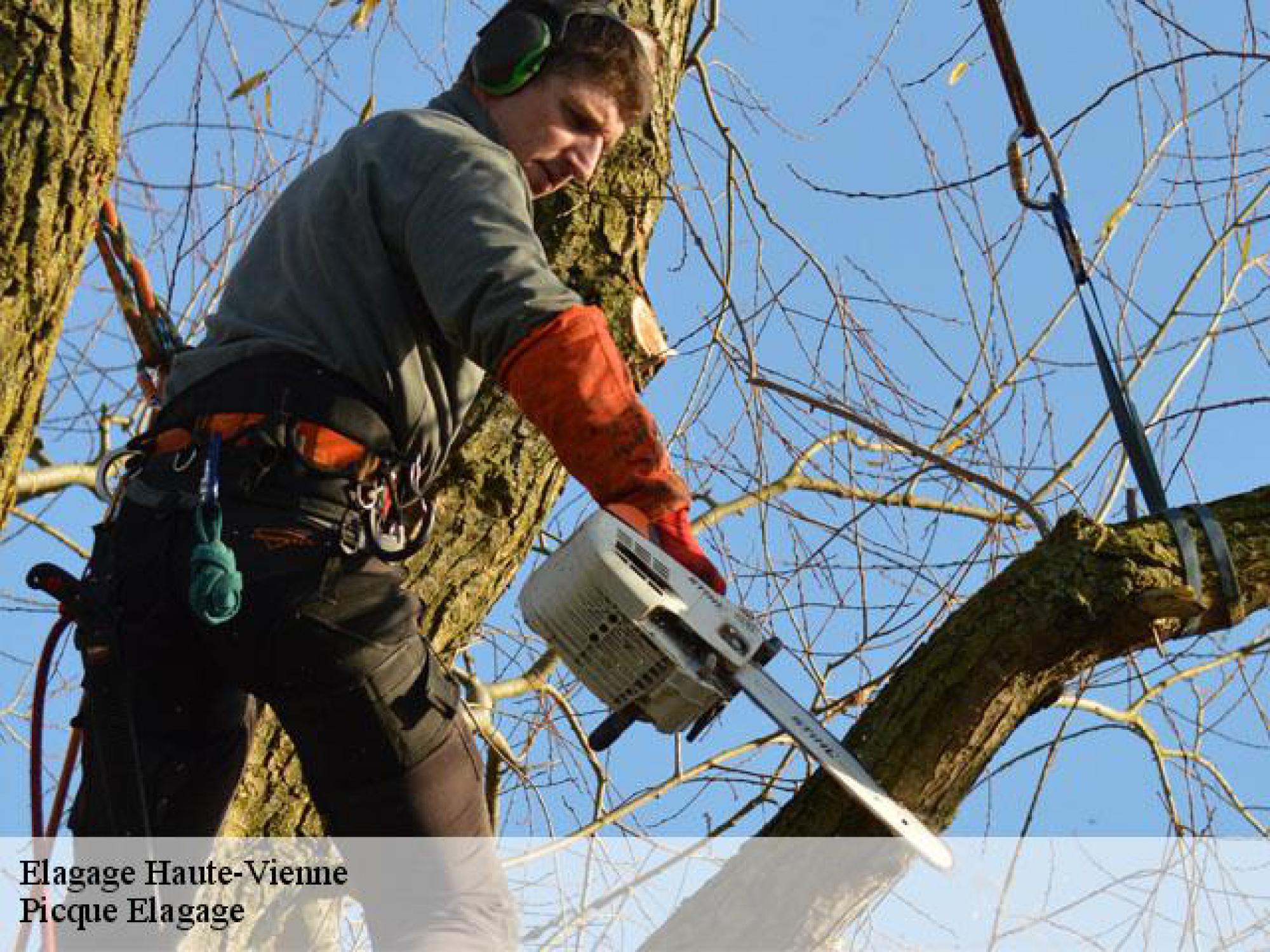 Picque Elagage votre expert élagueur dans le 87 Haute-Vienne
