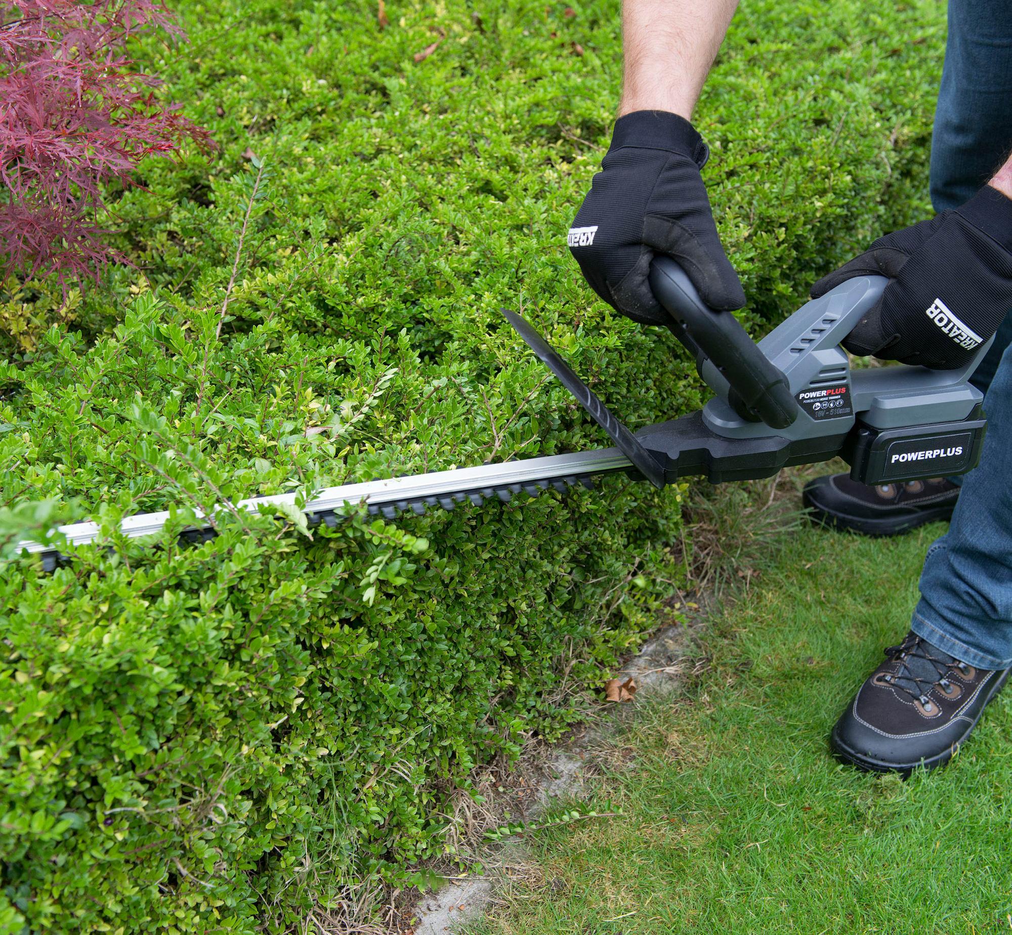 Élagage expert Haute-Savoie arbres
