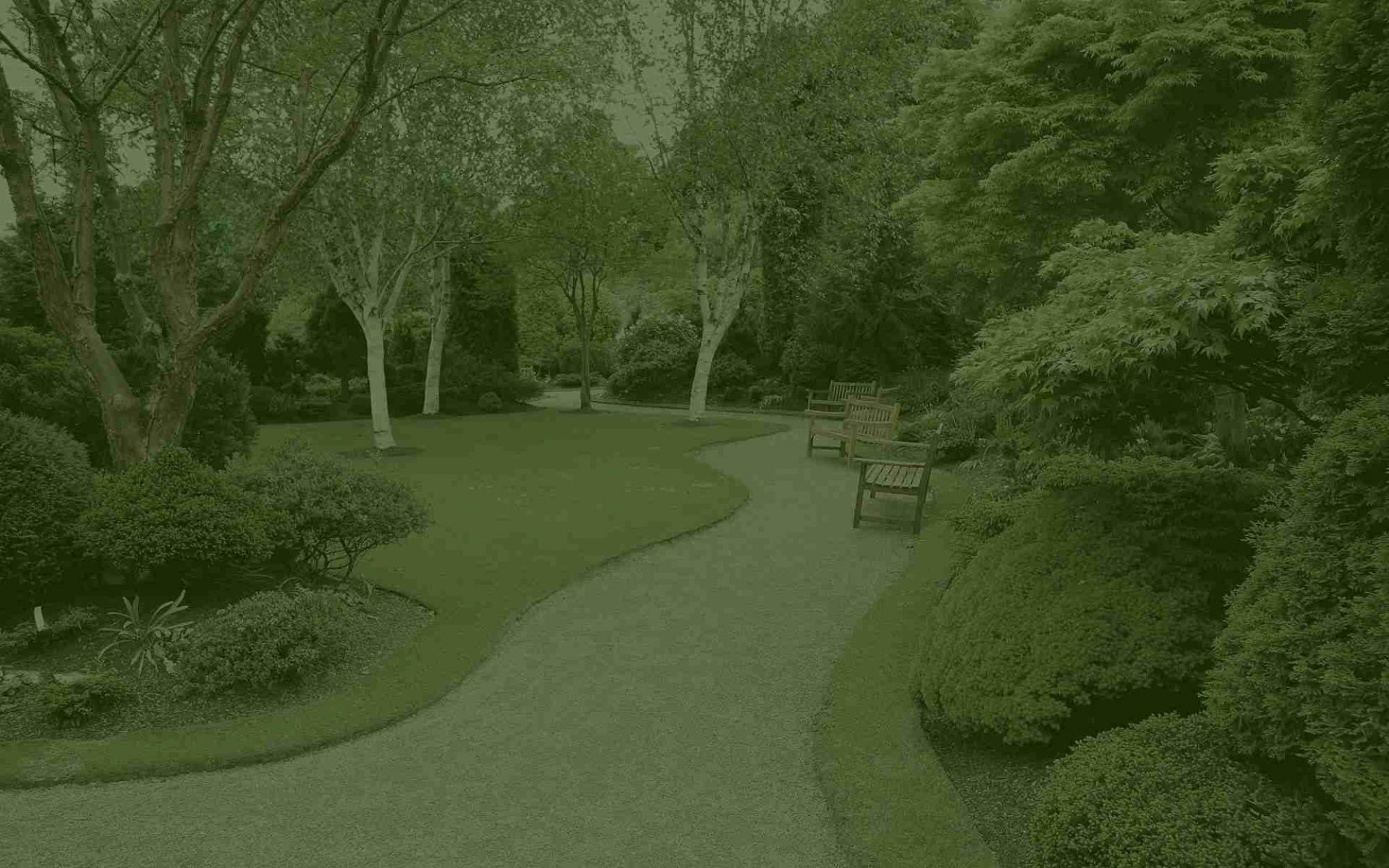 Entretien expert arbres Gard