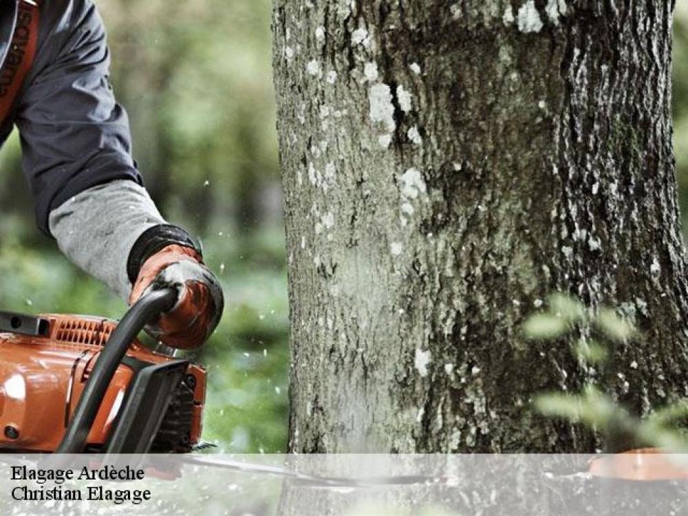 Christian Elagage expert élagueur d’arbre dans le 07 Ardèche