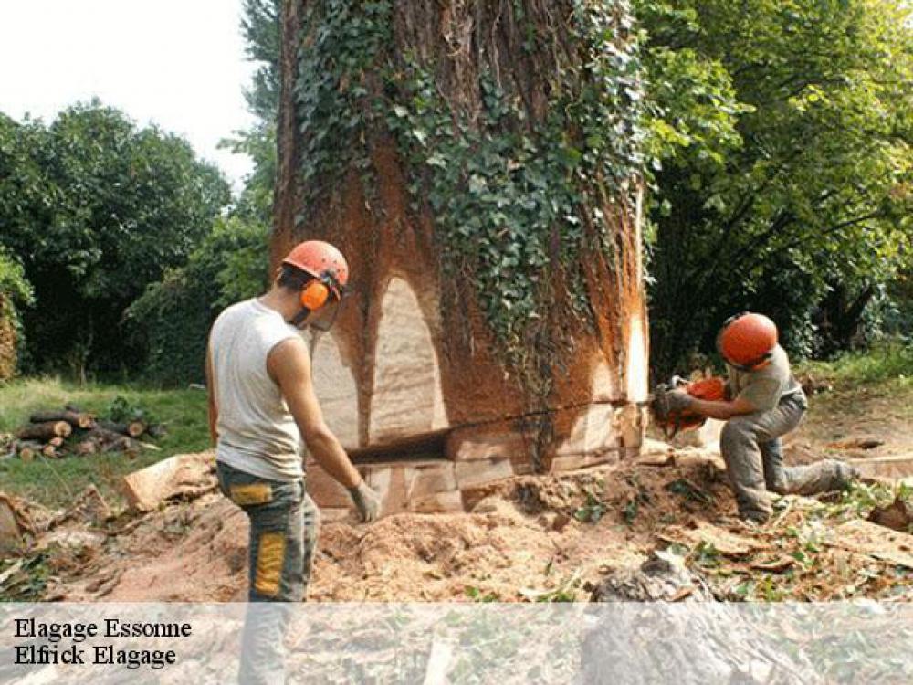 Elfrick Elagage, votre expert élagueur dans le 91 Essonne
