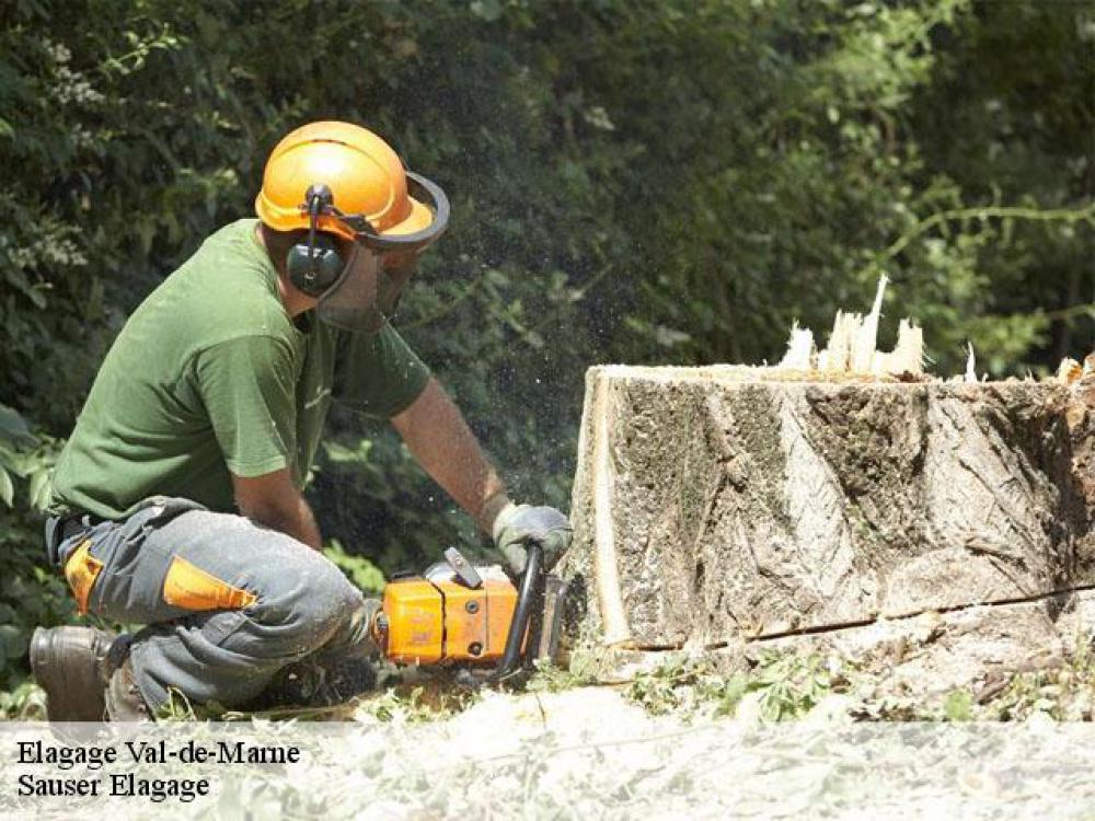 Sauser Elagage votre expert élagueur dans le 94 Val-de-Marne