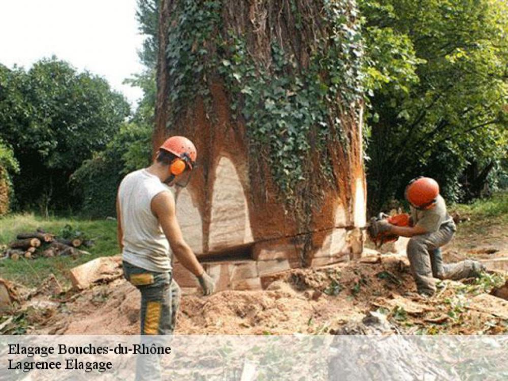 Lagrenee Elagage élagueur professionnel Bouches du Rhône 13
